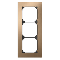 2813gmia0k_medium.gif 2813gmia0k_medium.gif